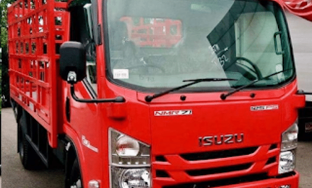 truck isuzu elf